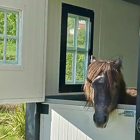 Σπίτι διακοπών Casa 2 Do Pavilhao Da Prelada *