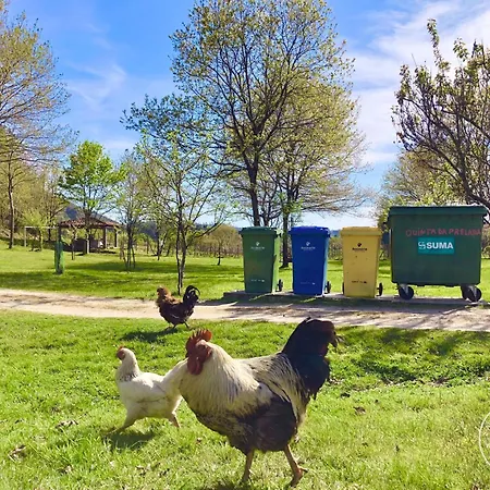 Casa 2 Do Pavilhao Da Prelada