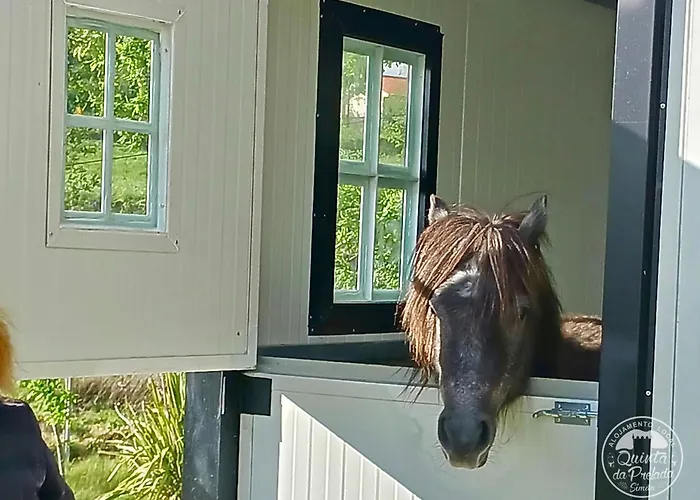 Дом отдыха Casa 2 Do Pavilhao Da Prelada *