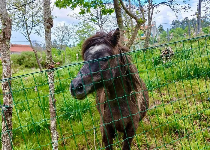 Дом отдыха Casa 2 Do Pavilhao Da Prelada Селорику-ди-Башту